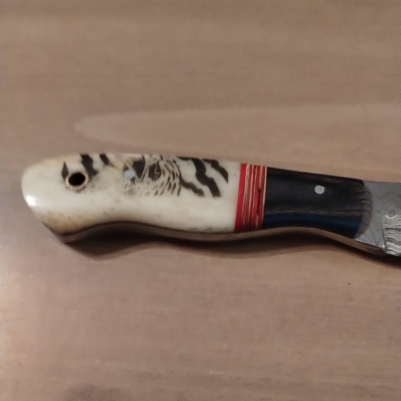 Damascus Steel Fixed Blade Knife w/ Bone Handle & Sheath – Handmade Hunting, - Picture 3 of 9